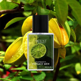 Versace Man perfume